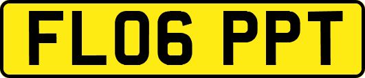 FL06PPT