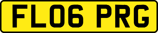 FL06PRG