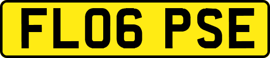 FL06PSE