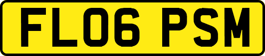 FL06PSM