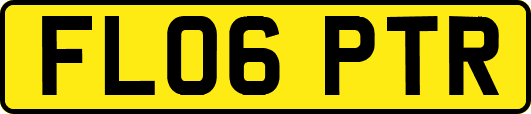 FL06PTR