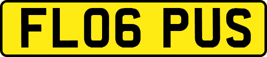 FL06PUS