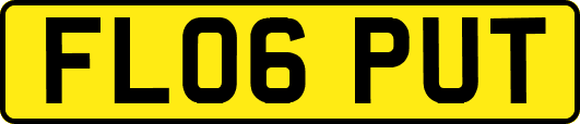 FL06PUT