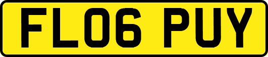 FL06PUY