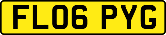 FL06PYG
