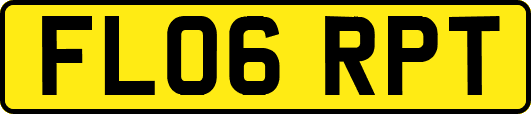 FL06RPT