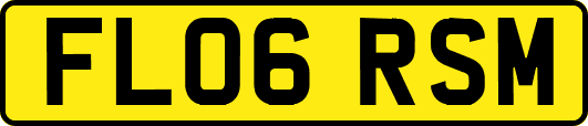 FL06RSM