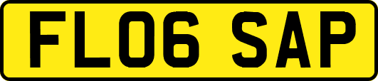 FL06SAP