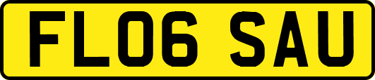FL06SAU
