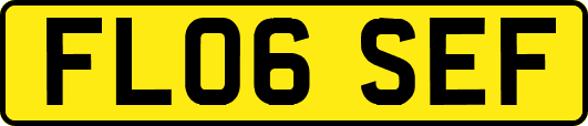 FL06SEF