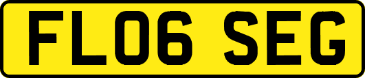 FL06SEG