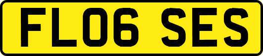 FL06SES