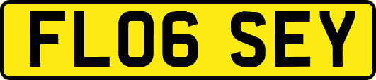 FL06SEY