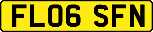 FL06SFN