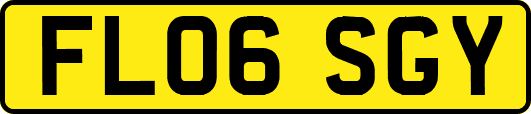 FL06SGY