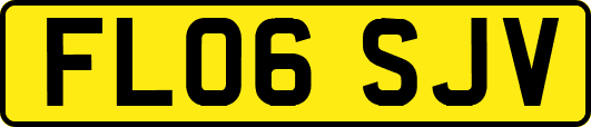 FL06SJV