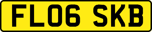 FL06SKB