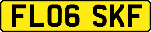 FL06SKF