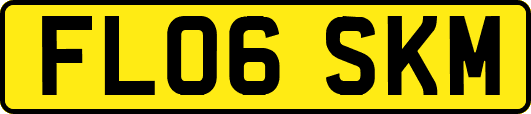 FL06SKM