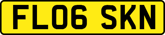 FL06SKN