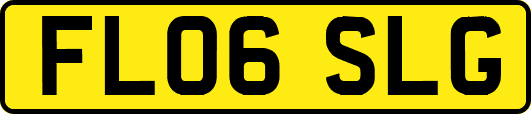 FL06SLG