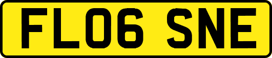 FL06SNE