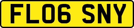 FL06SNY