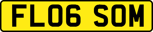 FL06SOM