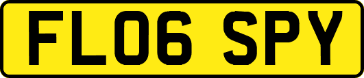 FL06SPY