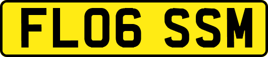 FL06SSM