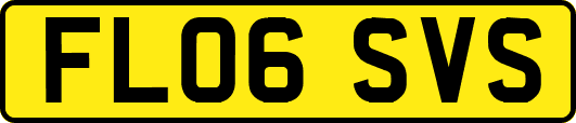 FL06SVS