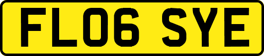 FL06SYE