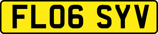 FL06SYV