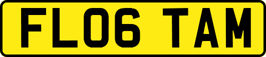 FL06TAM