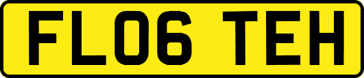 FL06TEH