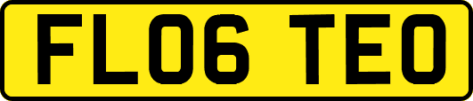 FL06TEO