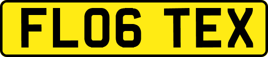 FL06TEX