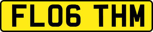 FL06THM
