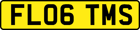 FL06TMS