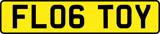 FL06TOY