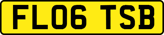 FL06TSB