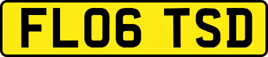 FL06TSD
