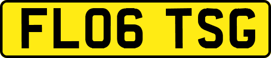 FL06TSG