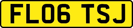 FL06TSJ