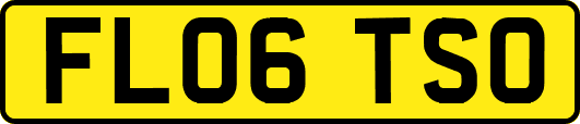 FL06TSO