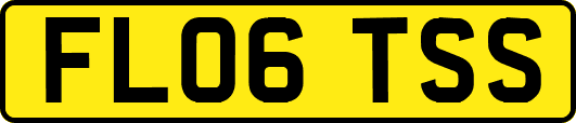 FL06TSS