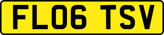 FL06TSV