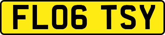 FL06TSY