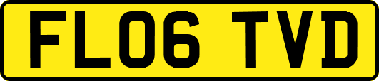 FL06TVD