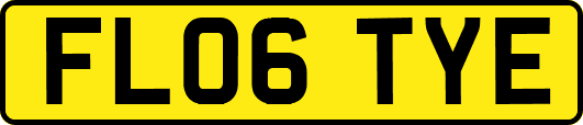FL06TYE